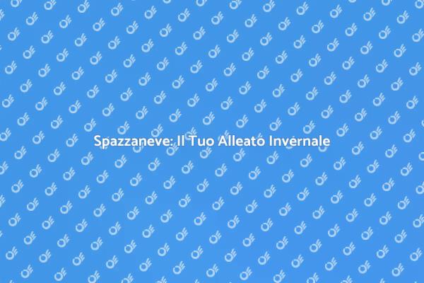 Affronta la Neve con lo Spazzaneve