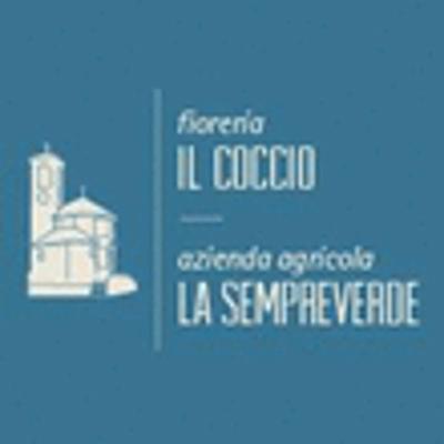 Fioreria Il Coccio  - Foto 1