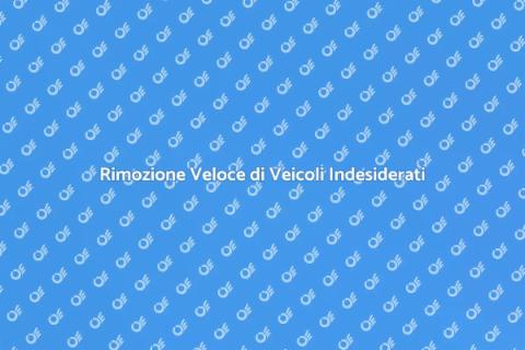 Demolizione Rapida Veicoli Indesiderati