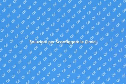 Trattamento Efficace Contro le Cimici