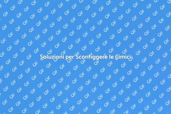 Come Liberarsi delle Cimici Infestanti