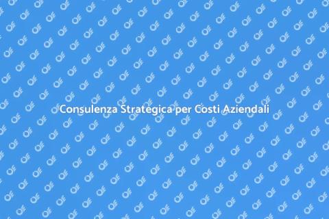 Ottimizza i Costi con la Consulenza