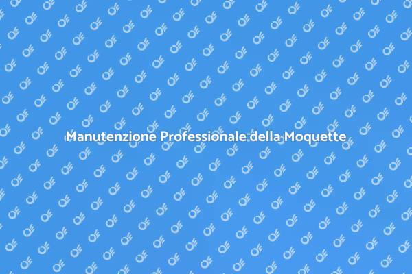 Servizi di Pulizia e Riparazione Moquette