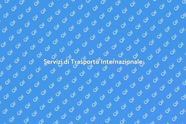 Guida ai Trasporti Internazionali