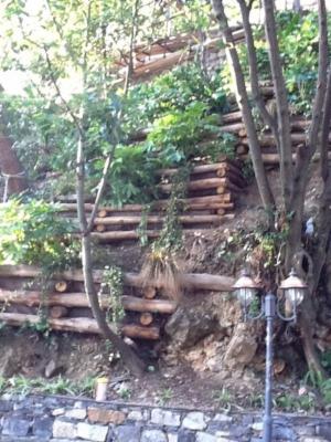 Blugarden  - Foto 6