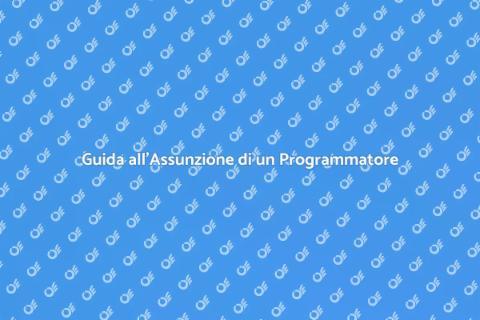 Assumere un Programmatore Qualificato