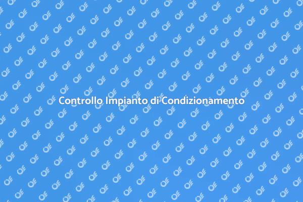 Controllo Essenziale per l'Estate