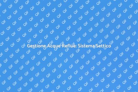 Sistema Settico in Casa: Guida Completa