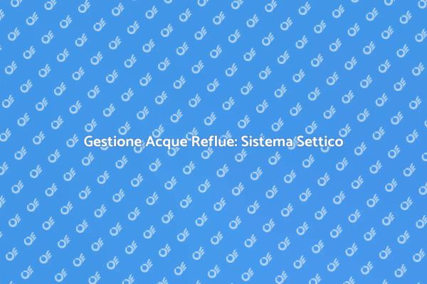 Guida al Sistema Settico in Casa