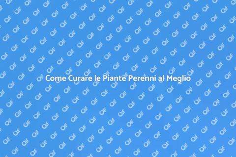 Manutenzione Piante Perenni: Guida Essenziale