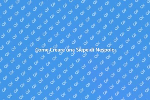 Siepe di Nespolo: Guida alla Coltivazione