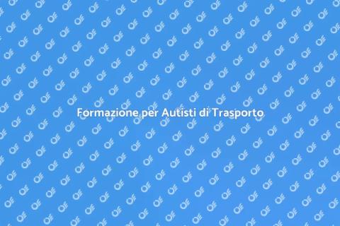 Addestramento Professionale Autisti