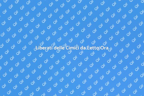 Come Sbarazzarsi delle Cimici da Letto