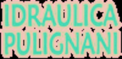 Idraulica Pulignani  - Foto 1