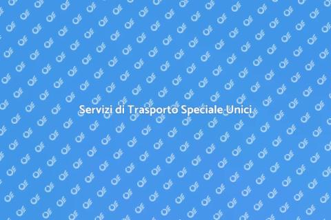 Trasporto Speciale per Oggetti Unici