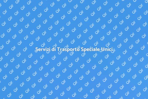 Trasporto Speciale: Sicurezza e Professionalità