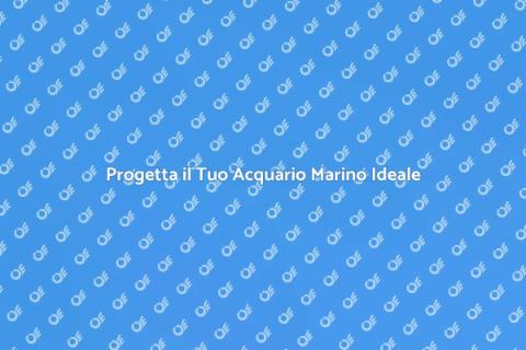 Acquario Marino: Crea il Tuo Paradiso