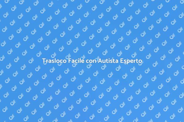 Trasloca Senza Stress con un Autista