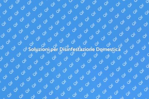 Iniziare una Disinfestazione Efficace