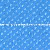 Come un Photo Editor Migliora le Immagini
