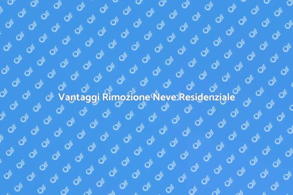 Sicurezza Invernale: Rimozione Neve
