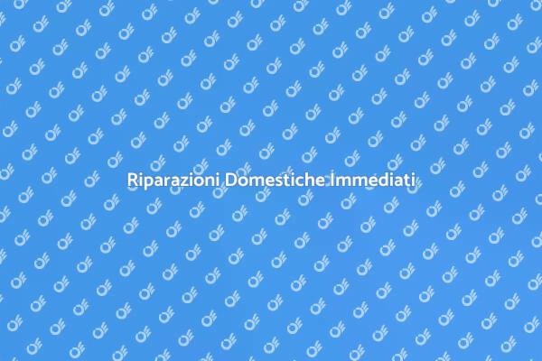 Interventi Rapidi per la Tua Casa