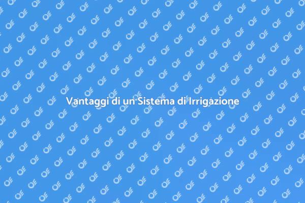 Irrigazione Efficiente per il Tuo Giardino