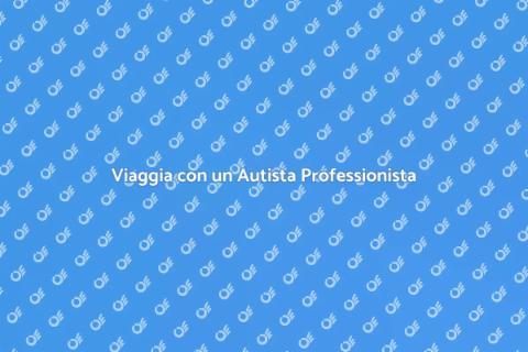 Assistenza con Autista Professionista
