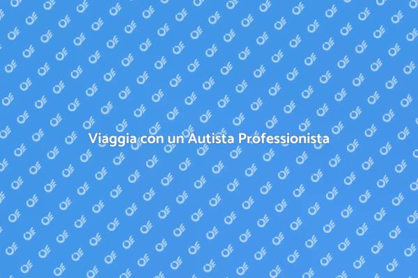 Il Vantaggio dell'Autista Professionista