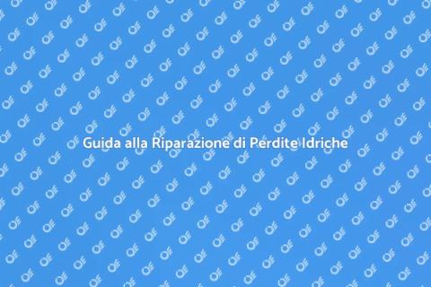 Riparare Perdita Rete Idrica