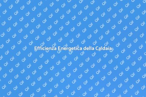 Controllo Efficienza Energetica Caldaia