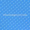 Comfort e Risparmio con Caldaia Efficiente