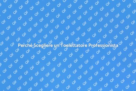 Ingaggia un Toelettatore per il Tuo Cane