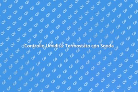 Termostato con Sonda: Comfort Domestico