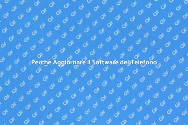 Aggiornamenti Software: Fondamentali per il Telefono