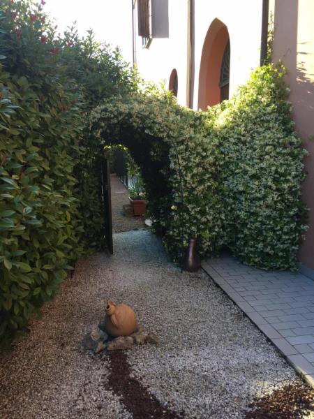 Re del giardino - Foto 5