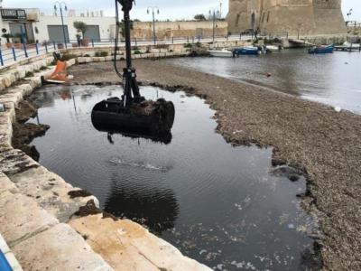 Farina Servizi Ambientali  - Foto 3