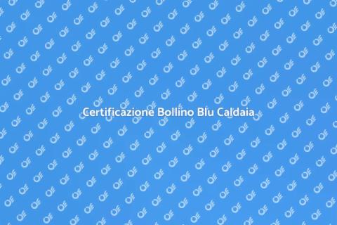 Bollino Blu Caldaia: Sicurezza e Risparmio