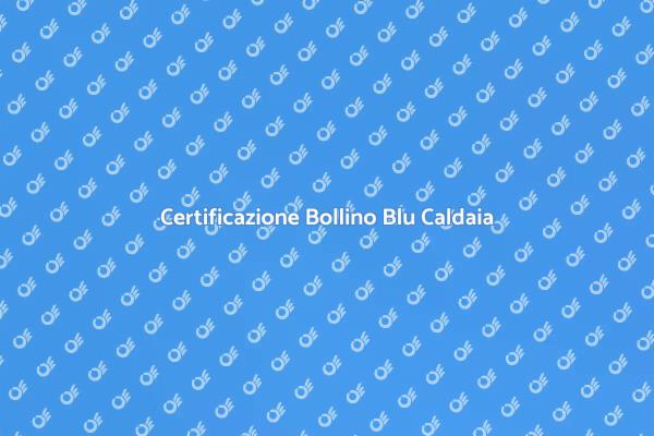 Sicurezza e Efficienza: Bollino Blu Caldaia