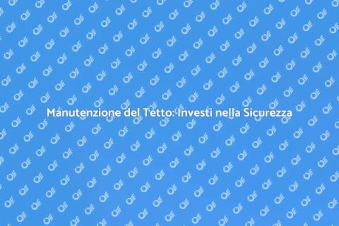 Pulizia e Manutenzione del Tetto