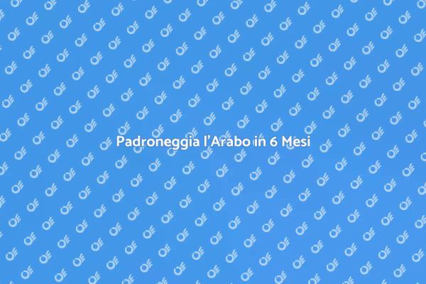 Scopri come imparare l'arabo velocemente