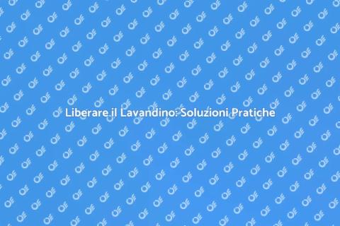 Risolvere Lavandino Ostruito in Cucina