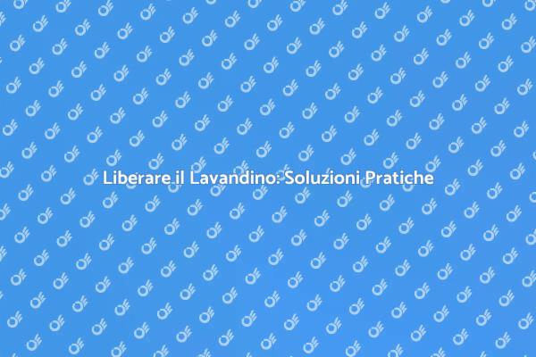 Soluzioni per Lavandino Ostruito in Cucina