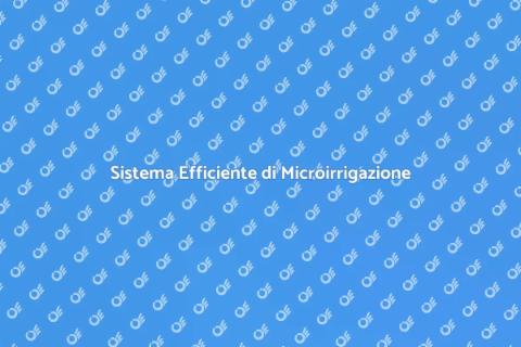 Microirrigazione per il Tuo Prato