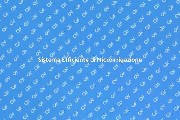 Irrigazione Intelligente per il Giardino
