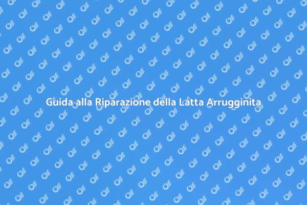 Manutenzione Tetto: Ripara la Latta!