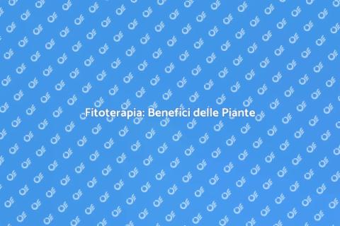 Fitoterapia: Magia delle Piante Medicinali