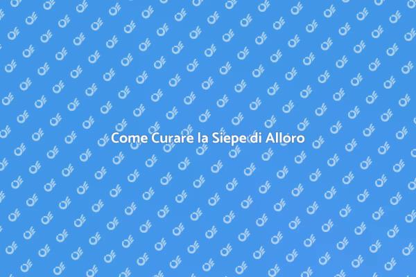 Manutenzione della Siepe di Alloro