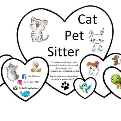 CatPetSitter