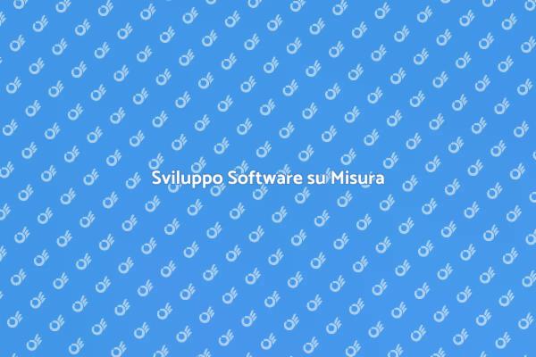 Programmazione Software per il Tuo Business